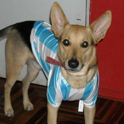 Sexy y Barrigon, una suma de virtudes que escasea...