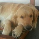 Johnny Saint Andrews - @andrews_saint - Twitter