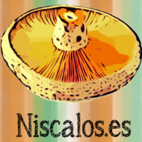 Niscalos.es (@niscalos) 's Twitter Profile
