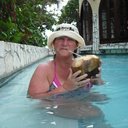 Lori Agnew - @AgnewLori - Twitter