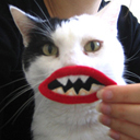 tanderny's profile picture. Of all the places I have been, this is definitely one of them.