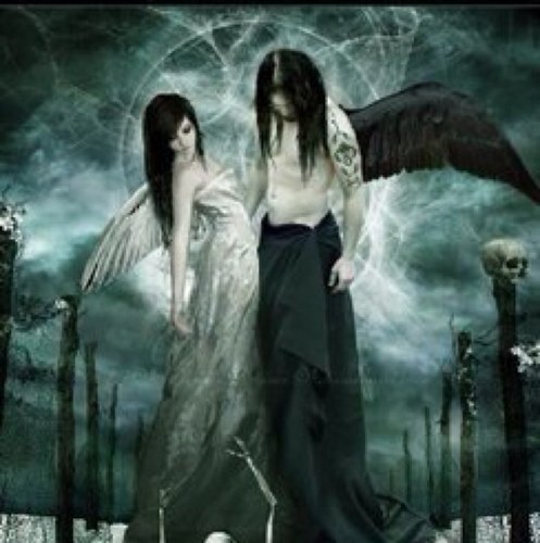 guichomike's profile picture. 