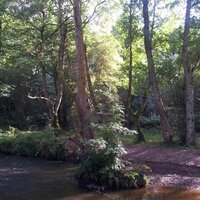 Our Green Air 🍃💚🍃 (@ourgreenbelt) 's Twitter Profile Photo