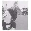 Daisy brooks - @dechy_flowers - Twitter