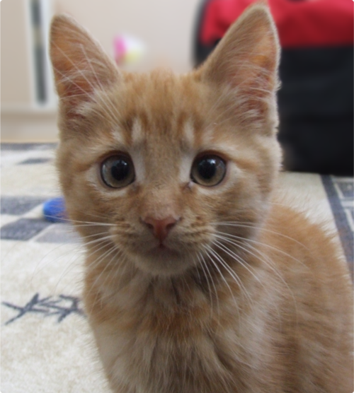 lifedot's profile picture. Personal life blog