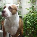 eusebio correa - @e_correaa - Twitter