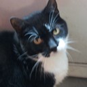 Eileen Palmer - @BookreaderAce - Twitter