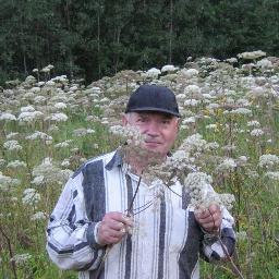 BorisTimofeevi4's profile picture. Kандидат биологических наук, консультант по традиционным системам оздоровления средствами фитотерапии и природными биологически активными веществами.