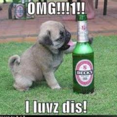 follow me and il follow u back !! XX