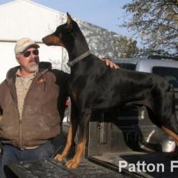 JimPatton3's profile picture. Christian, Husband, Father, Ohio farmer - corn, soybeans, Holstein steers