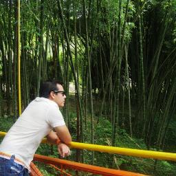 JCSP1985's profile picture. Ortodoncista