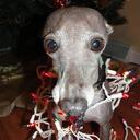 Ken Roper - @kenroper - Twitter