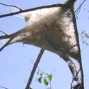 Chris Lyvers - @wclyvers - Twitter