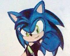 hedgehog