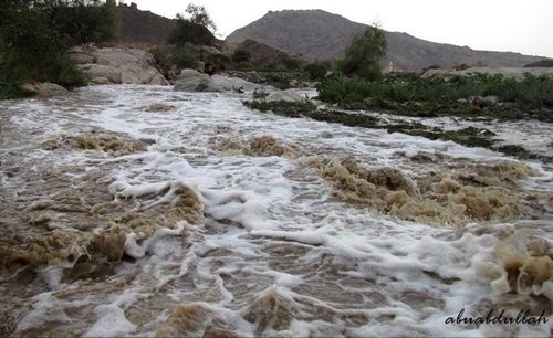 مهتم بالطقس والأخبار بكافة أنواعها