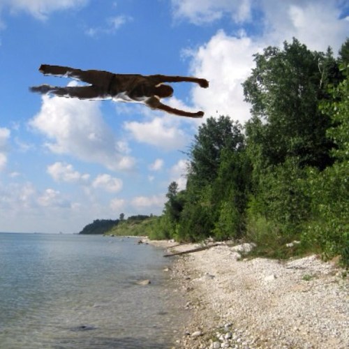 jalverzo03's profile picture. Retired