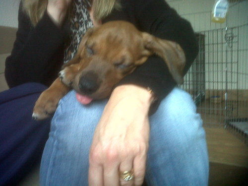 k8brewer's profile picture. 