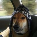 Todd Wittenberg - @toddwittenberg - Twitter