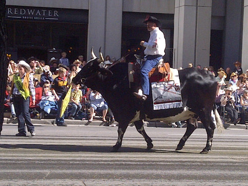 Ain't afraid of sayin' nothin', I'm a hurtin Albertan #Canadianlad