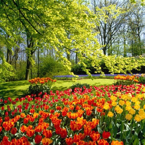 fmoyauribe's profile picture. 