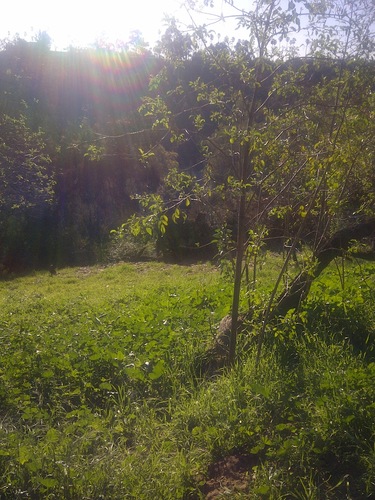 syloft1's profile picture. Theatre Artist:  Producer, Director, Company Manager, General Manager, Production Manager, Actor, Voiceover Talent