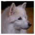 charnwood (@charnwood) Twitter profile photo
