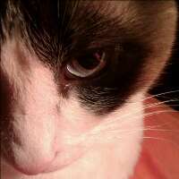 Nadie es perfecto