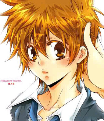Official Anime RP Account of @OR_INA || Vongola Decimo || @ = follback