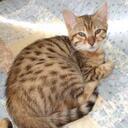 Trevor Macdonald - @trevtheimmortal - Twitter