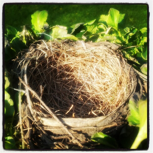 jen_ws's profile picture. 