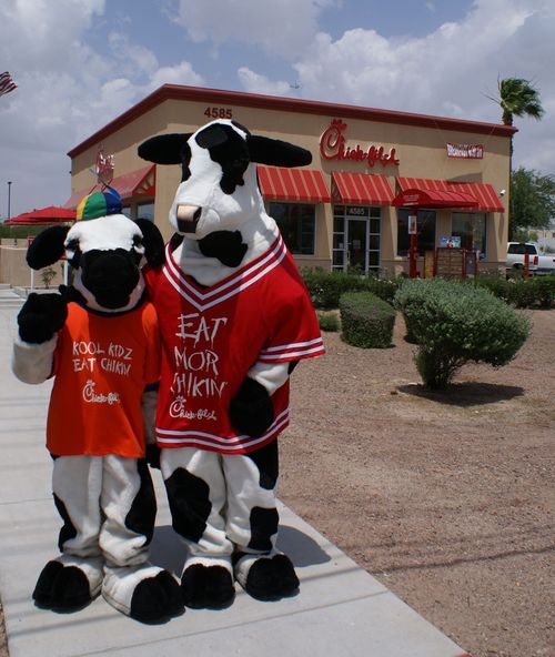 Eat More Chicken!