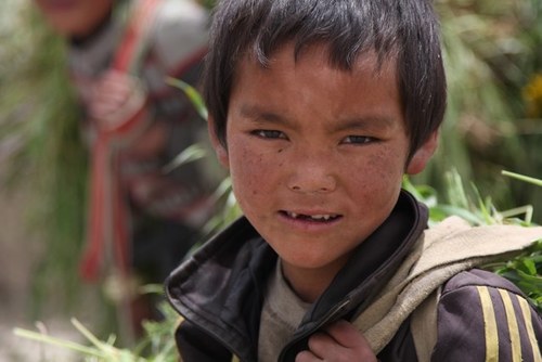 king2000wg's profile picture. 