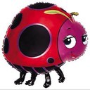 Kay Foster - @Sandyfeets56 - Twitter