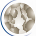 Global-Local (@globallocallink) Twitter profile photo