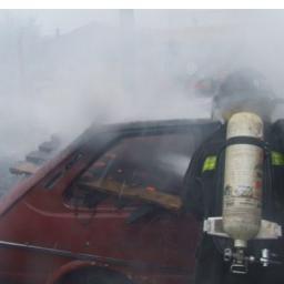 franzbayerb's profile picture. 