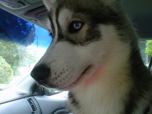 jvd831's profile picture. Wife, Mom, coupon obsessed