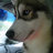 jvd831's profile image