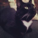 Maxwell Hart - @MaxwellTed - Twitter