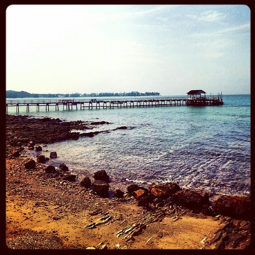 Insomniac's profile picture. 