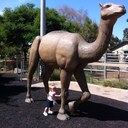 Chris Guidi - @TeamGuidi - Twitter