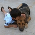Janvi Barcarse (@leonesmommy) Twitter profile photo