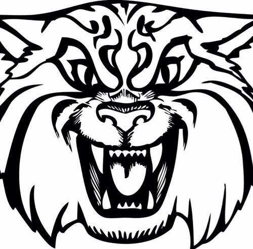 Twitter account for T. Dewitt Taylor Middle High School in Pierson Fl. #TaylorWildcats