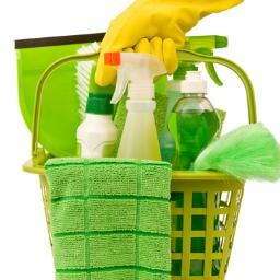 I will show you how to start your own cleaning business and earn a great income