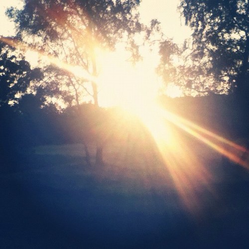 nienver's profile picture. wees niet bang om groot te dromen. Zelfs als je op de maan mikt en mist zul je tussen de sterren terecht komen.