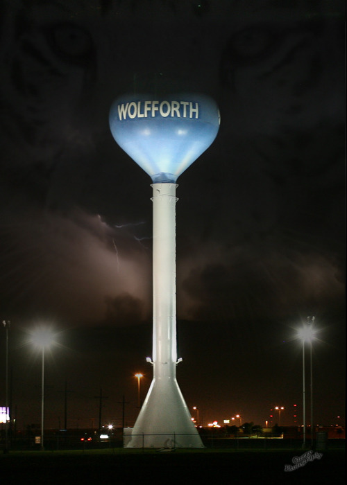 WEDC's profile picture. 