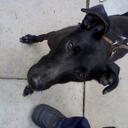 Lindsay Vincent - @lindsayvinnie - Twitter