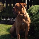 diana back - @xdianabackx - Twitter