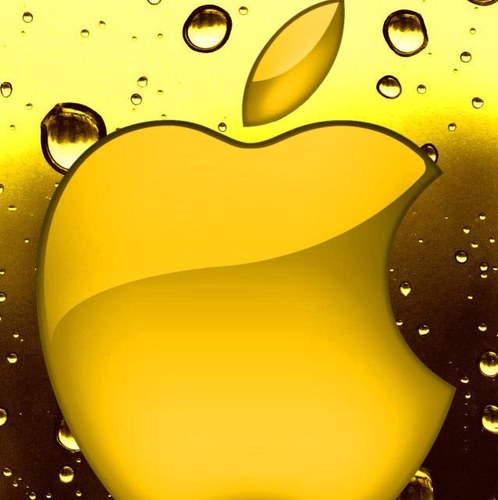 noblelay89's profile picture. 