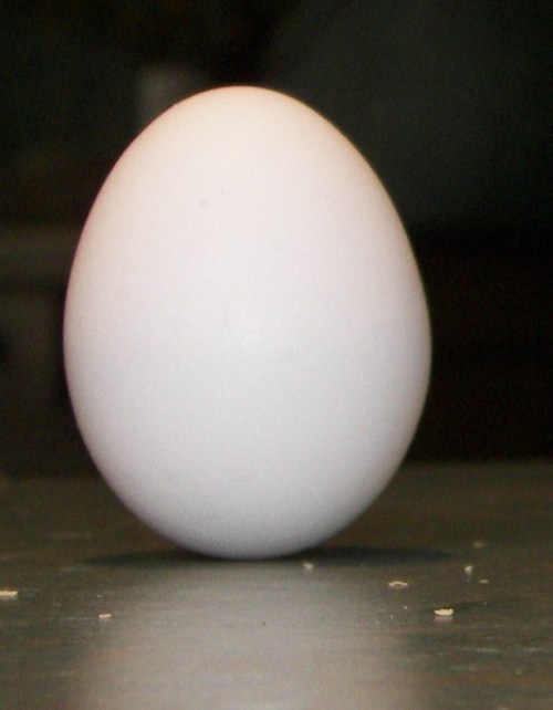 JAaiello's profile picture. 