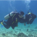 michael zani - @michaelzani - Twitter